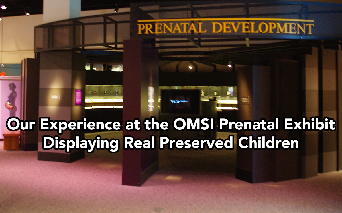 OMSI Prenatal Development Exhibit