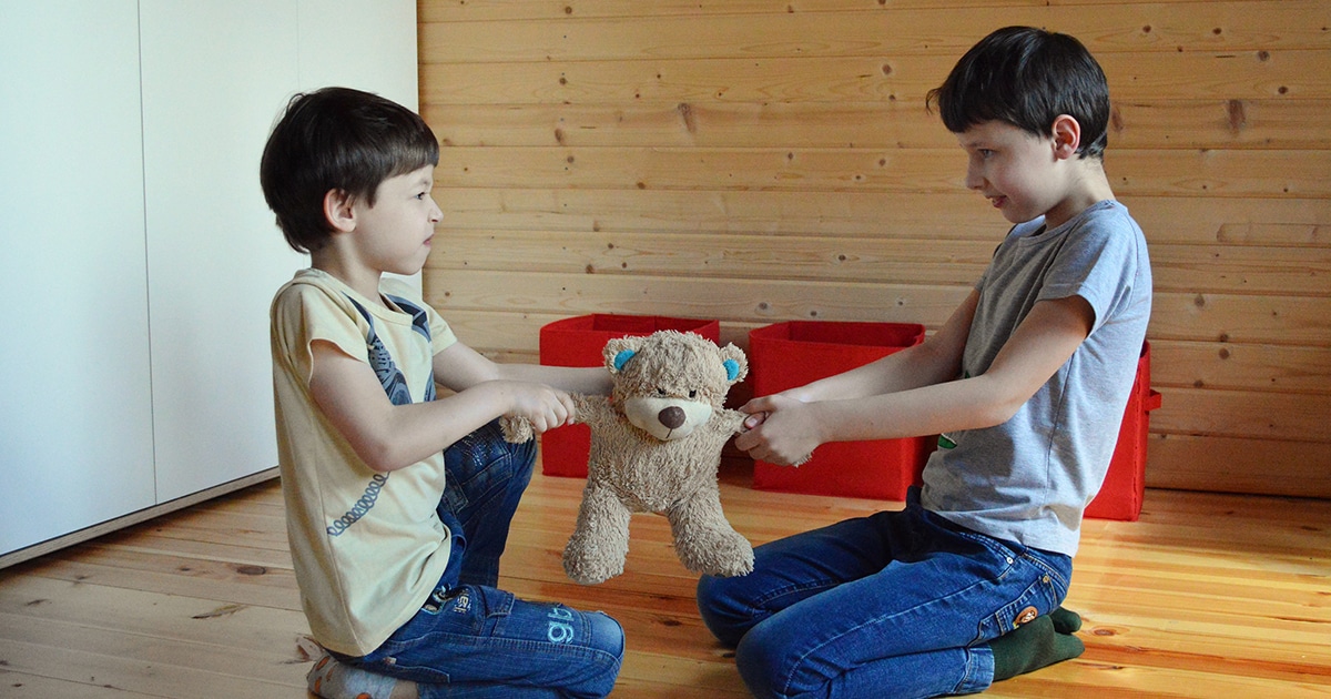 Two boys fighting over a teddy bear