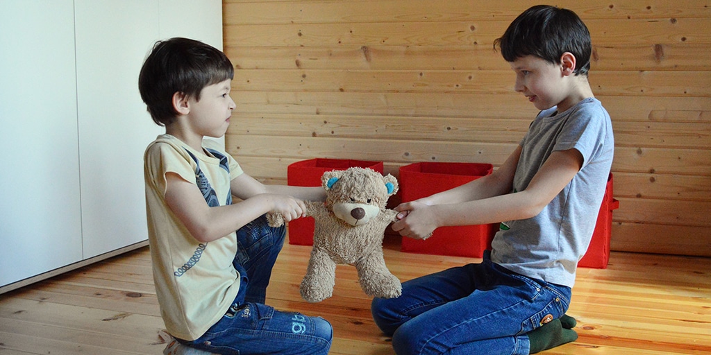 Two boys fighting over a teddy bear