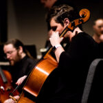 Professional Musician Instagram size copy