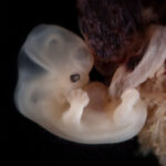 What Should We Call Them Instagram size copy