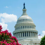 Political-Activism-in-a-Post-Roe-World-Instagram-size-copy